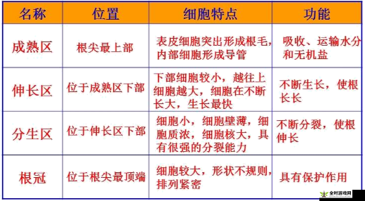 精品 1 区 2 区 3 区的区别在哪里以及它们各自的特点分析