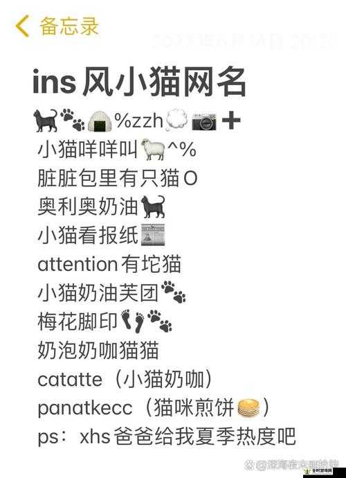 猫咪 MV 最新永久地域网名是什么及相关精彩内容