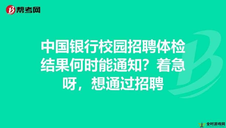 特别体检小雨与主任招聘的奇妙故事